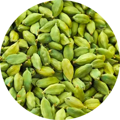 Cardamom
