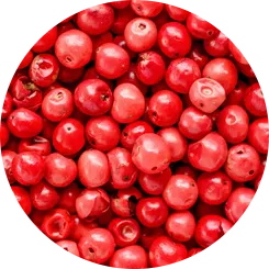 Pink Pepper