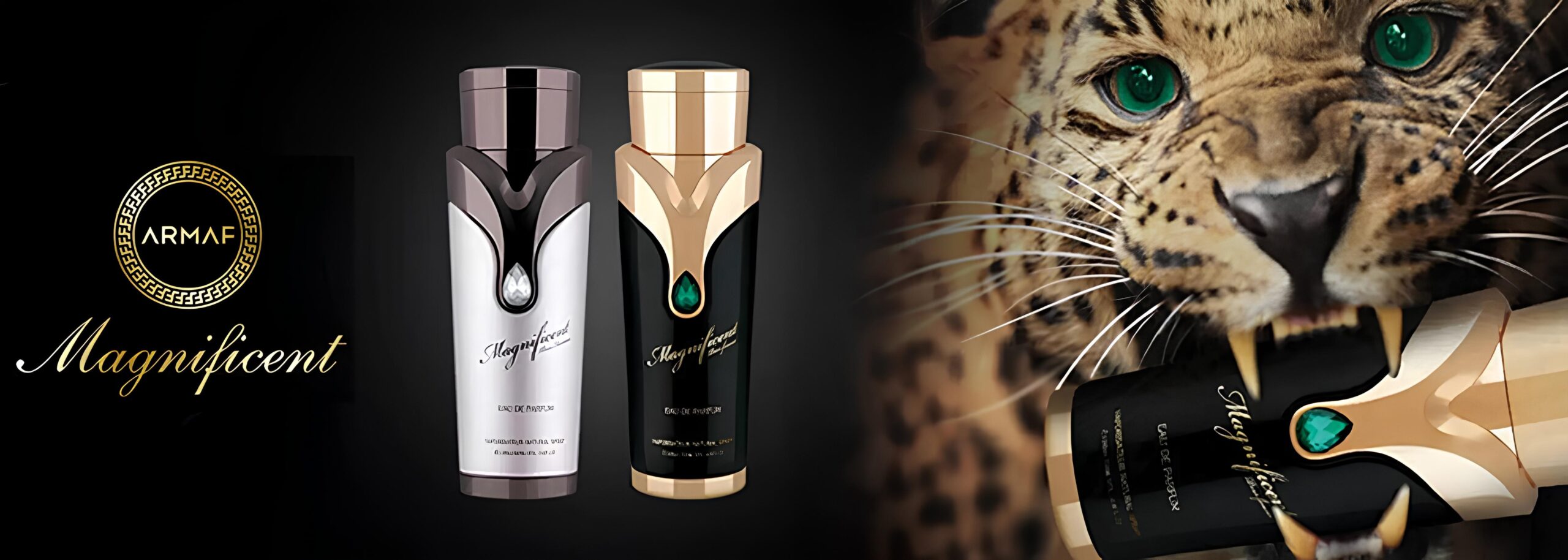 sterling-parfums-c-en-ar (2) (1) (1) (1)
